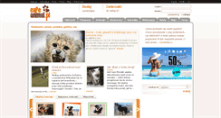 Desktop Screenshot of cafeanimal.pl