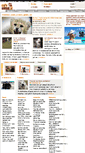 Mobile Screenshot of cafeanimal.pl